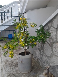 6463d8d5-2013-11-03 09.46.57.jpg